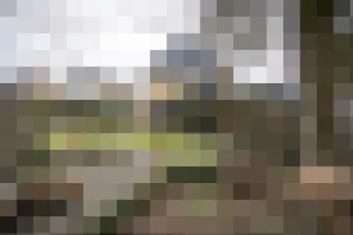 Kastanjelaan 7 Wierden thumbnail 69
