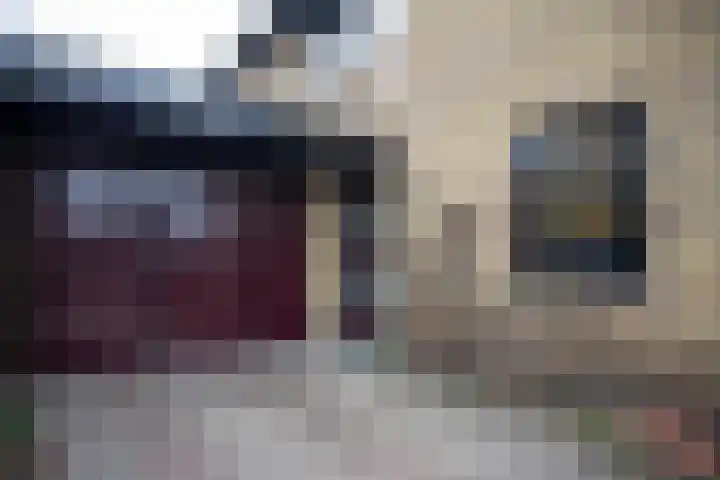 Kastanjelaan 7 Wierden thumbnail 7