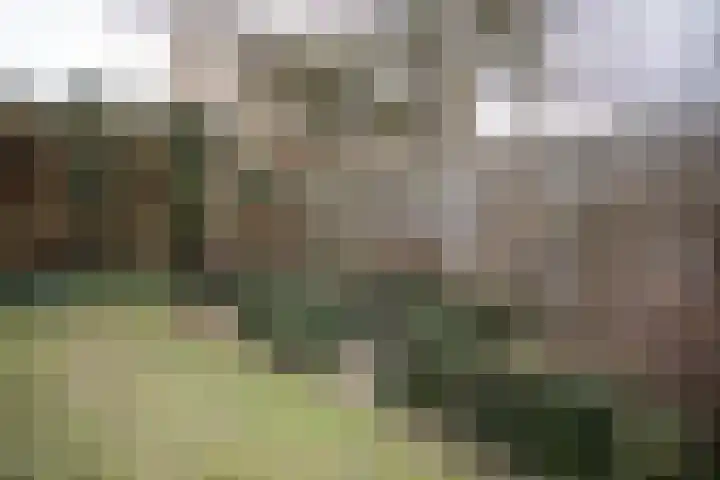 Kastanjelaan 7 Wierden thumbnail 70