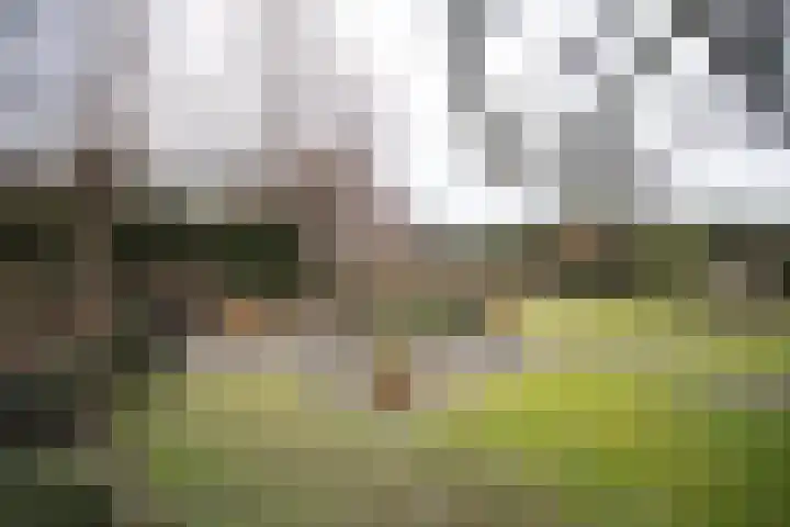 Kastanjelaan 7 Wierden thumbnail 71
