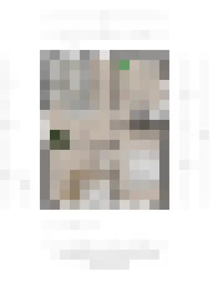 Kastanjelaan 7 Wierden thumbnail 73