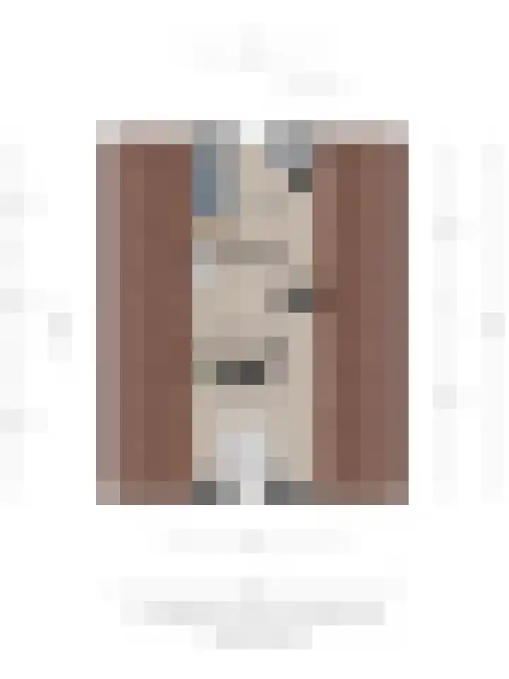 Kastanjelaan 7 Wierden thumbnail 74