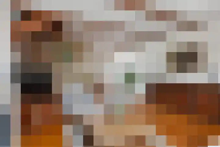 Kastanjelaan 7 Woerden thumbnail 11