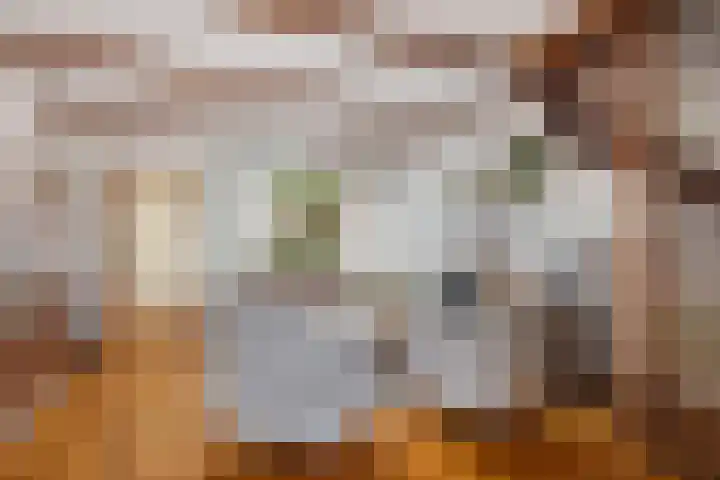 Kastanjelaan 7 Woerden thumbnail 12