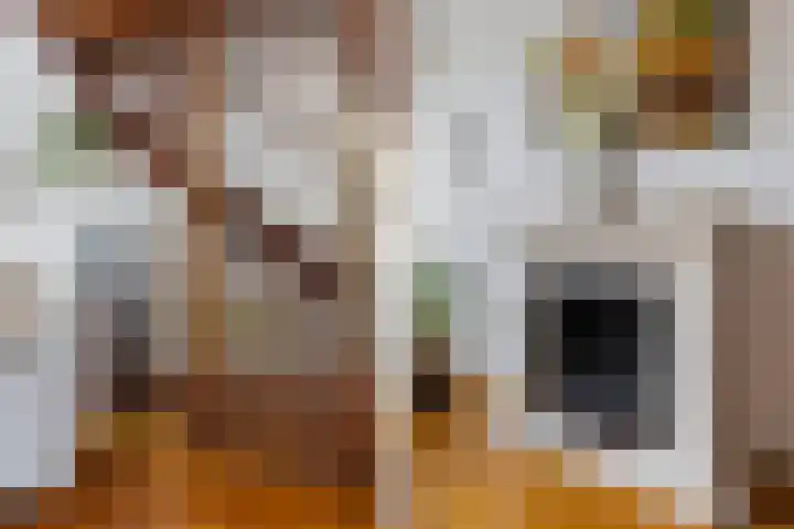 Kastanjelaan 7 Woerden thumbnail 15