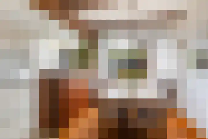 Kastanjelaan 7 Woerden thumbnail 17