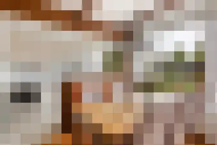 Kastanjelaan 7 Woerden thumbnail 18