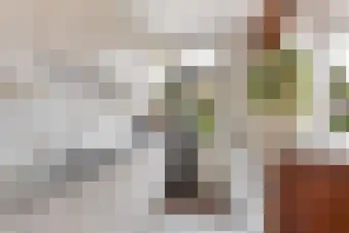 Kastanjelaan 7 Woerden thumbnail 22