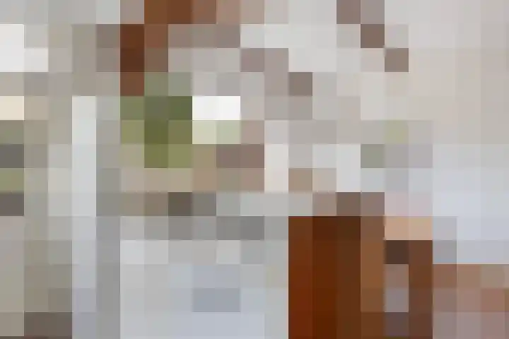 Kastanjelaan 7 Woerden thumbnail 24