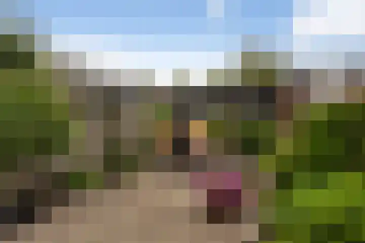 Kastanjelaan 7 Woerden thumbnail 26
