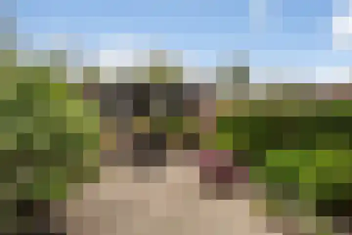 Kastanjelaan 7 Woerden foto 3