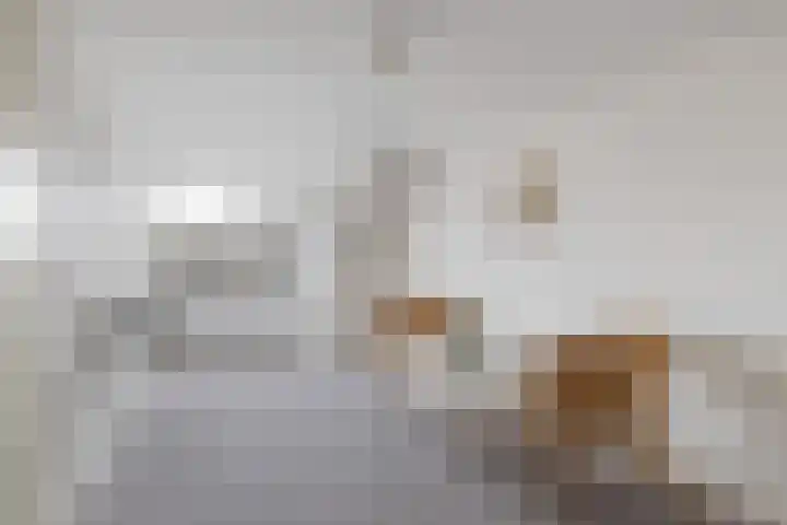 Kastanjelaan 7 Woerden thumbnail 48