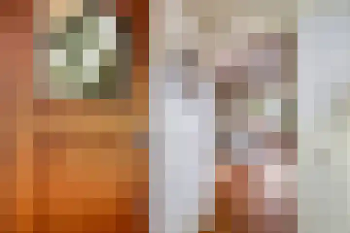 Kastanjelaan 7 Woerden thumbnail 8