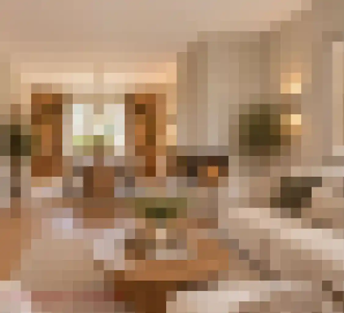 Kastanjelaan 7 Zuidlaren thumbnail 14