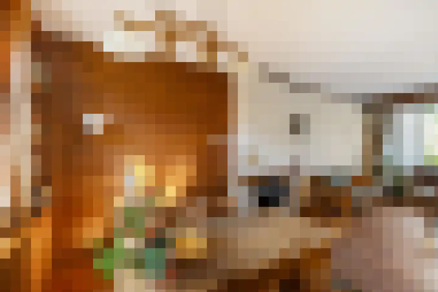 Kastanjelaan 7 Zuidlaren thumbnail 15