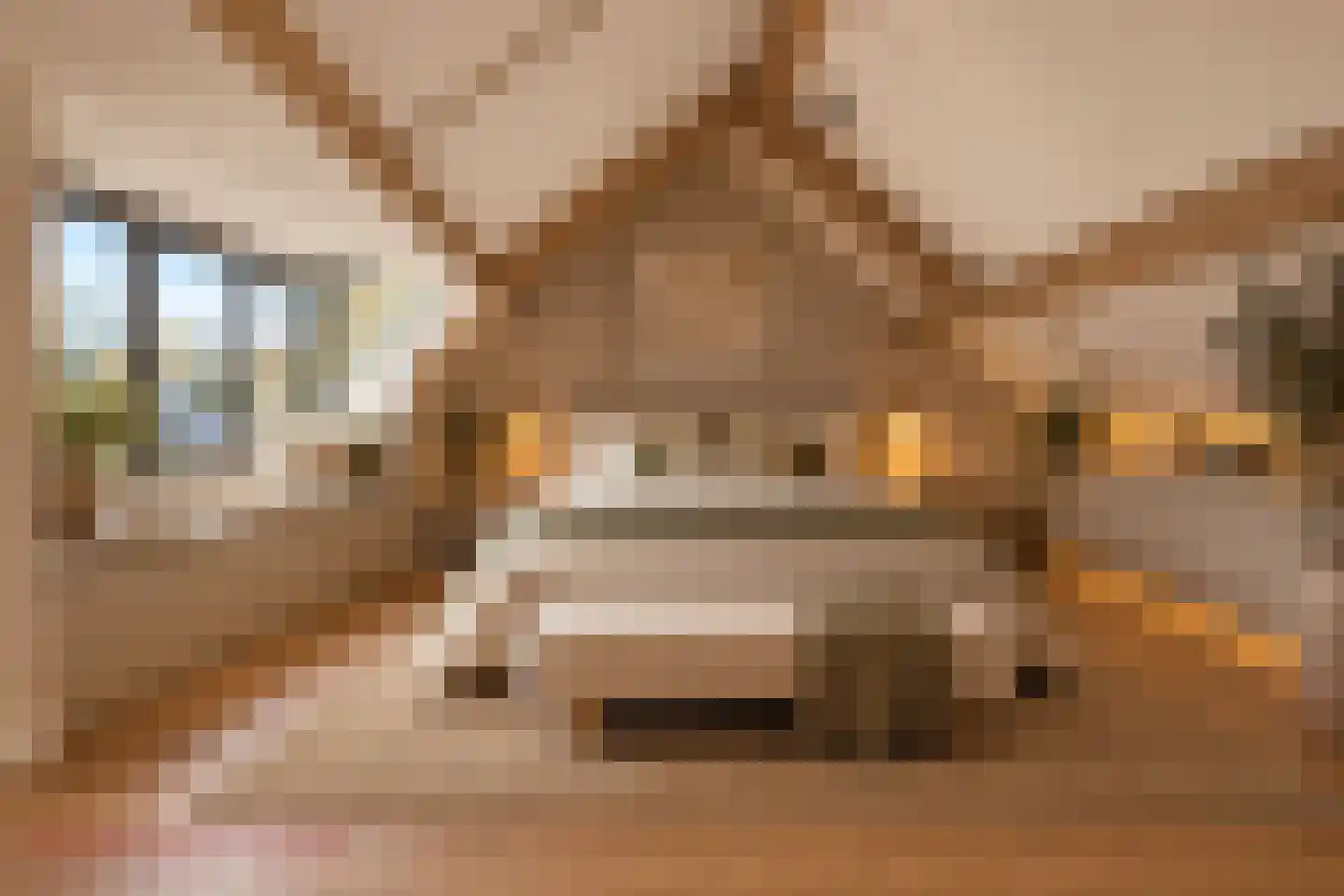 Kastanjelaan 7 Zuidlaren thumbnail 36