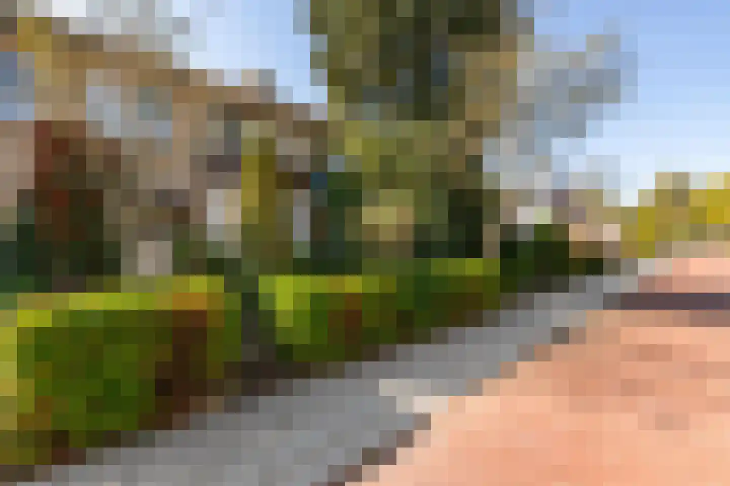 Kastanjelaan 7 Zuidlaren thumbnail 43
