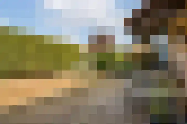 Kastanjelaan 7 Zwanenburg thumbnail 10