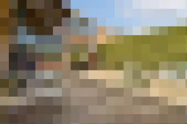 Kastanjelaan 7 Zwanenburg thumbnail 11