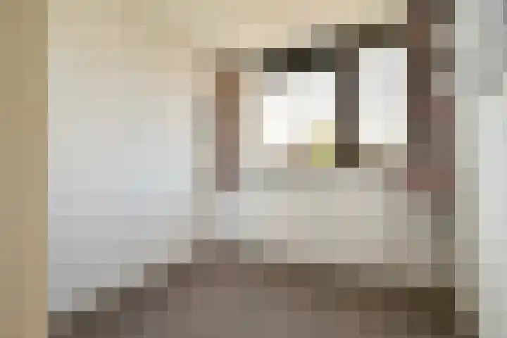 Kastanjelaan 7 Zwanenburg thumbnail 17