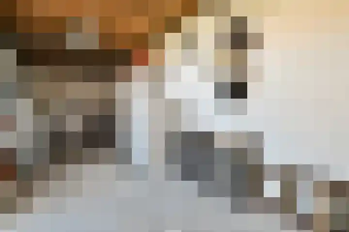 Kastanjelaan 7 Zwanenburg thumbnail 20