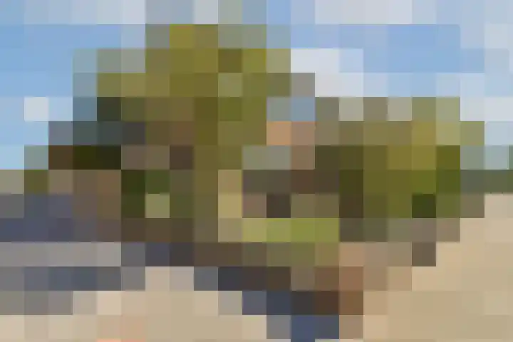 Kastanjelaan 7 Zwanenburg thumbnail 6