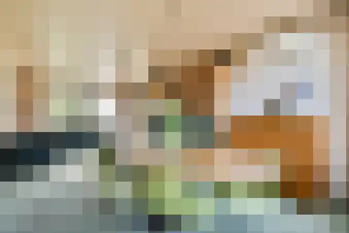 Kastanjelaan 7 Zwanenburg thumbnail 7