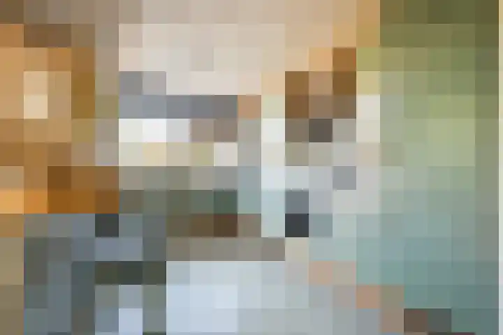 Kastanjelaan 7 Zwanenburg thumbnail 9