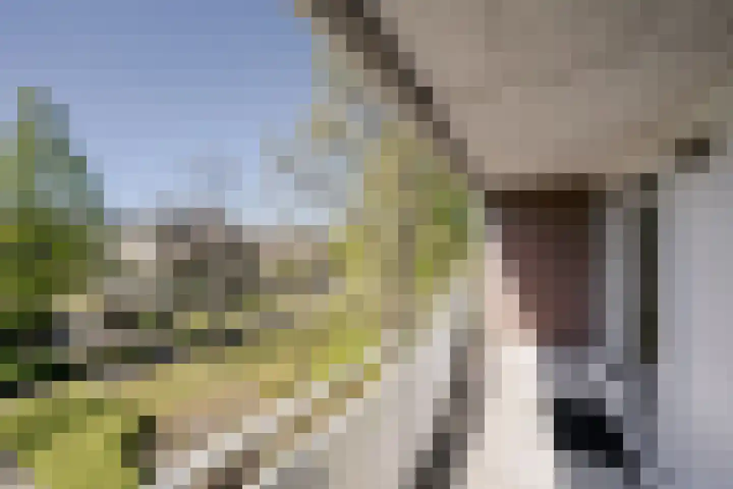 Kastanjelaan 70 Bloemendaal thumbnail 29