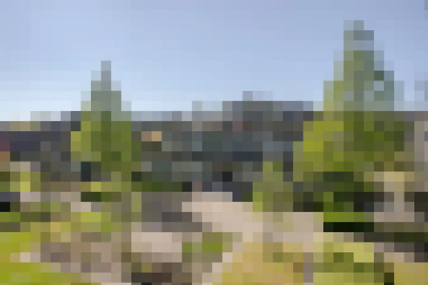 Kastanjelaan 70 Bloemendaal thumbnail 30