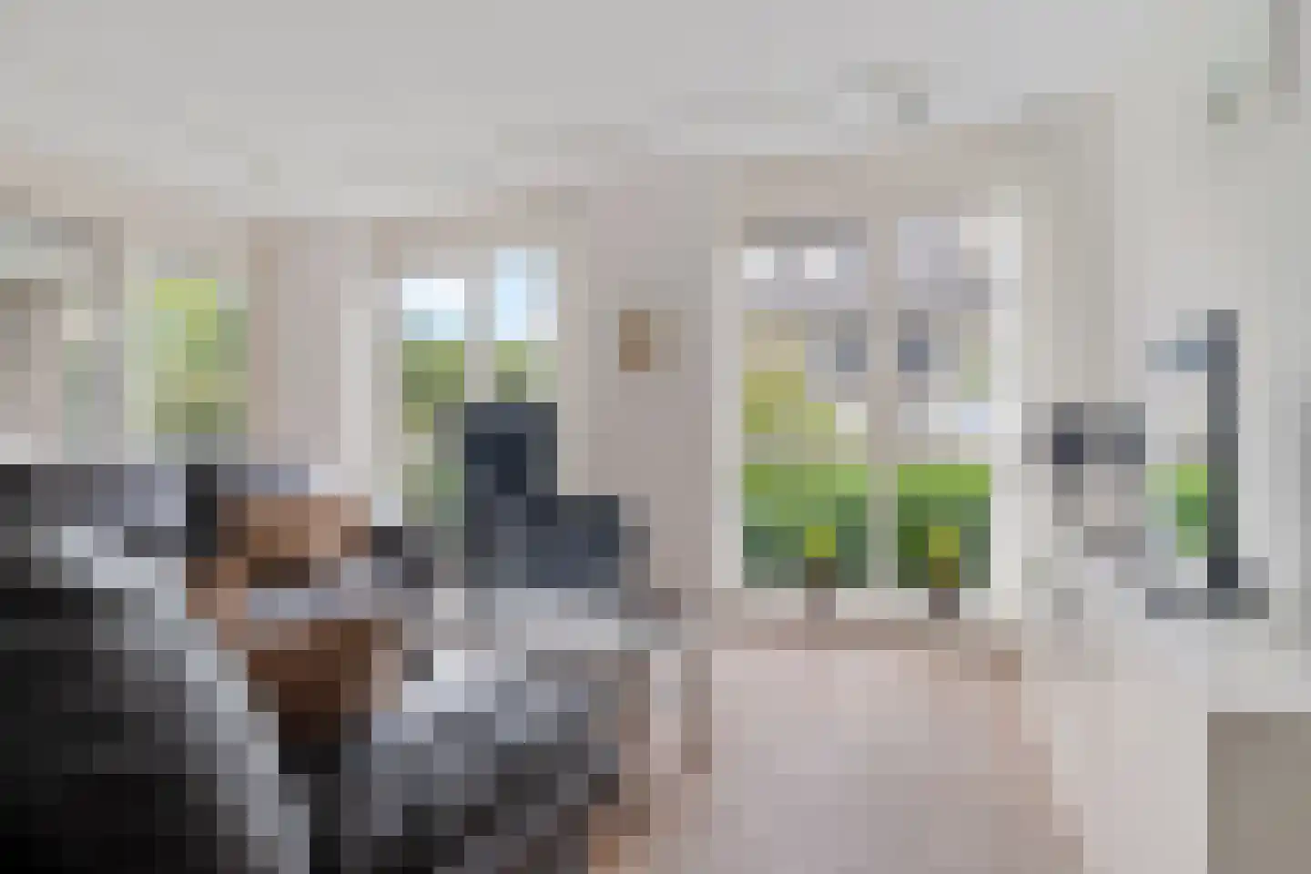 Kastanjelaan 71 Woudenberg thumbnail 21
