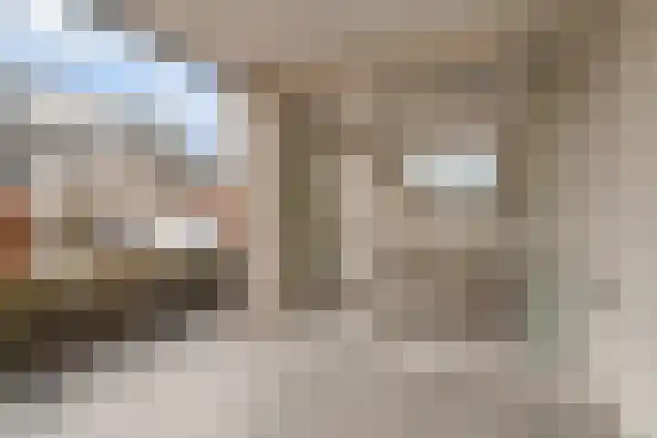 Kastanjelaan 71 Woudenberg thumbnail 21