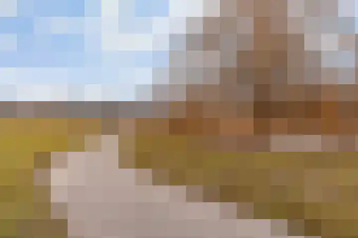 Kastanjelaan 71 Woudenberg thumbnail 30