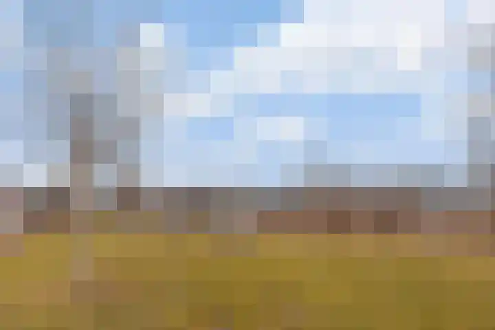 Kastanjelaan 71 Woudenberg thumbnail 31
