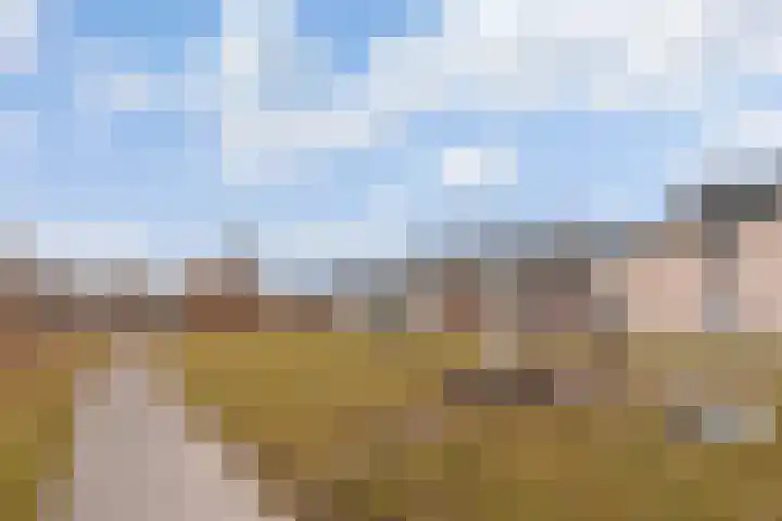 Kastanjelaan 71 Woudenberg thumbnail 32