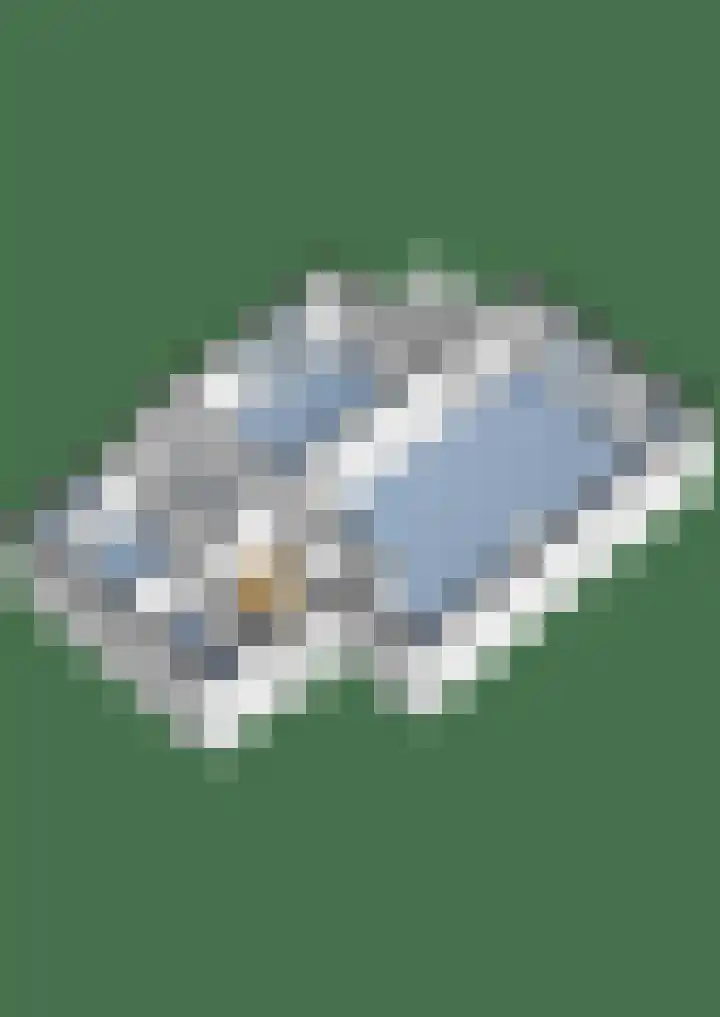Kastanjelaan 71 Woudenberg thumbnail 35