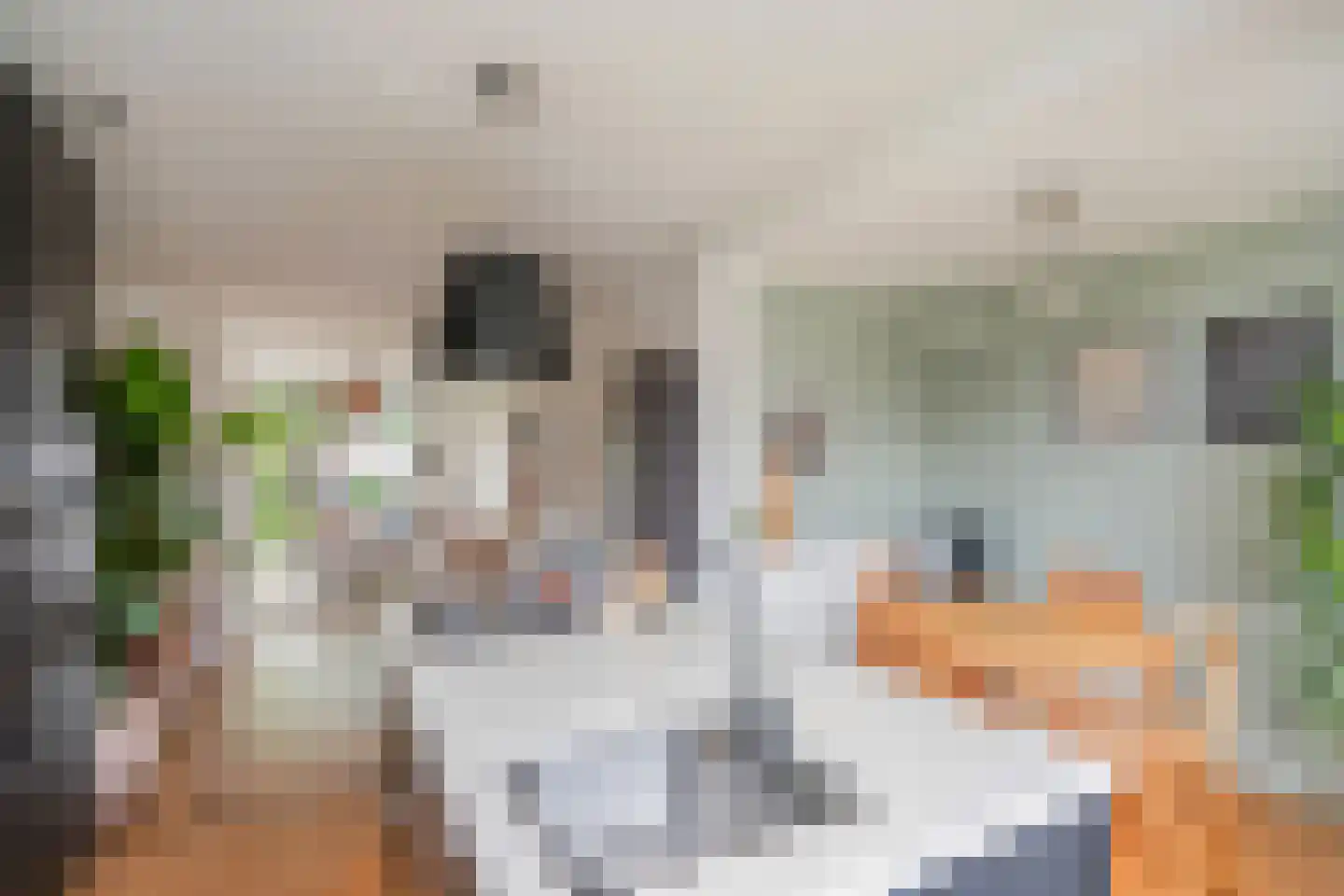 Kastanjelaan 76 Rijswijk thumbnail 14