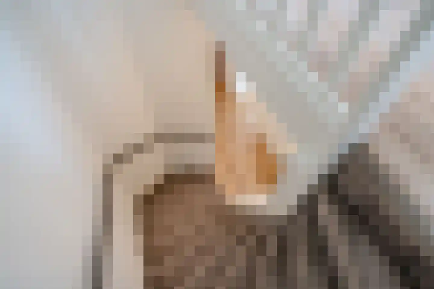 Kastanjelaan 76 Rijswijk thumbnail 18