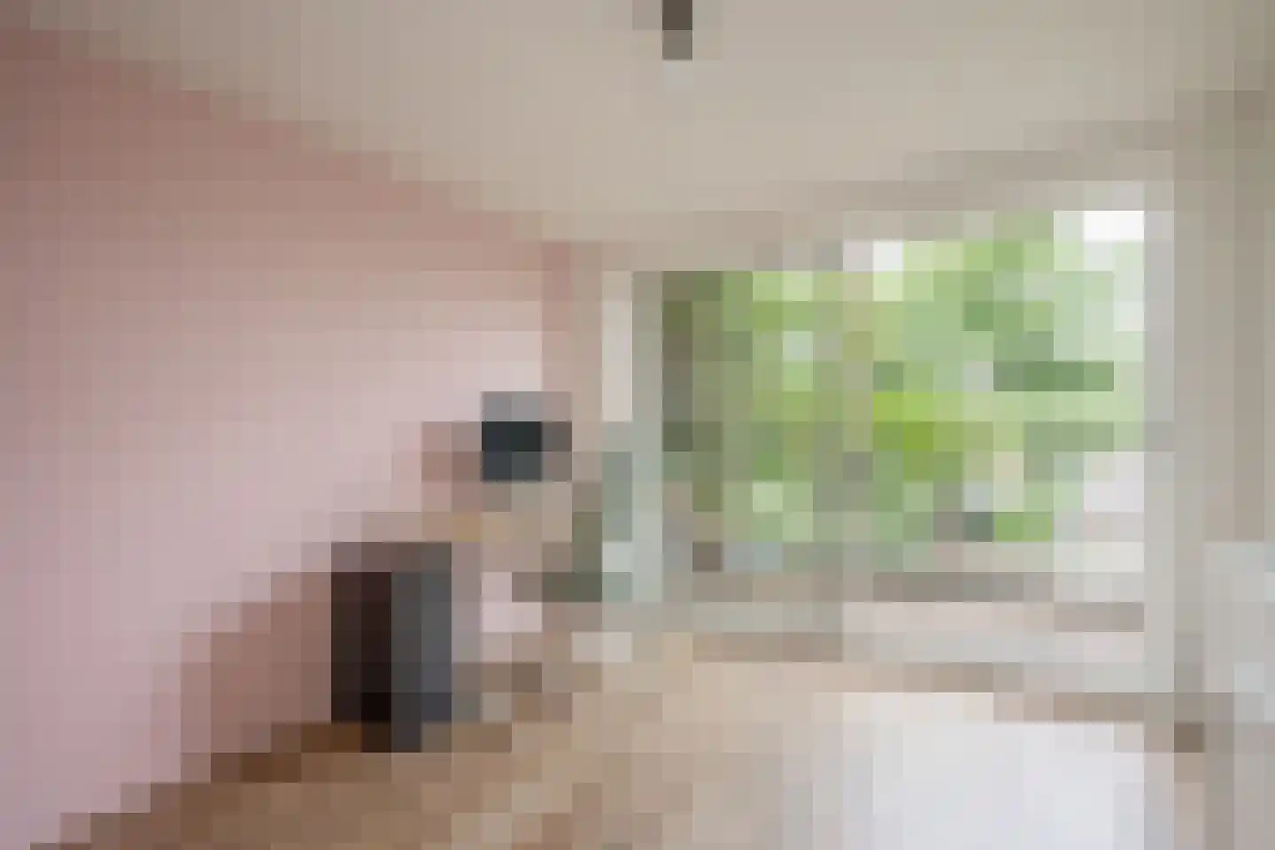 Kastanjelaan 76 Rijswijk thumbnail 23