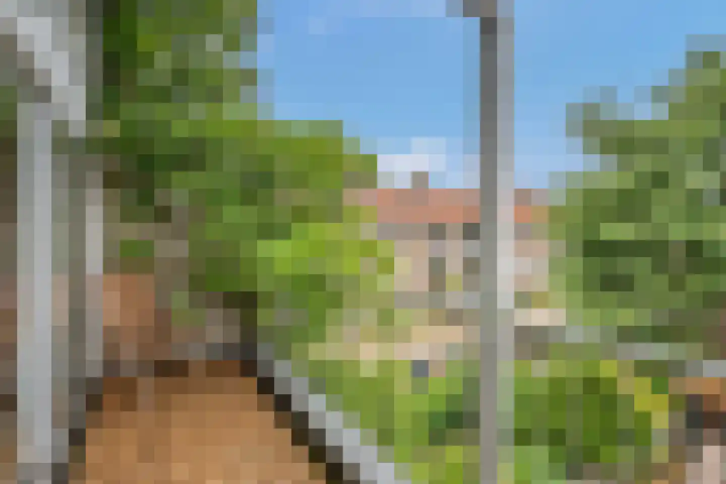 Kastanjelaan 76 Rijswijk thumbnail 29