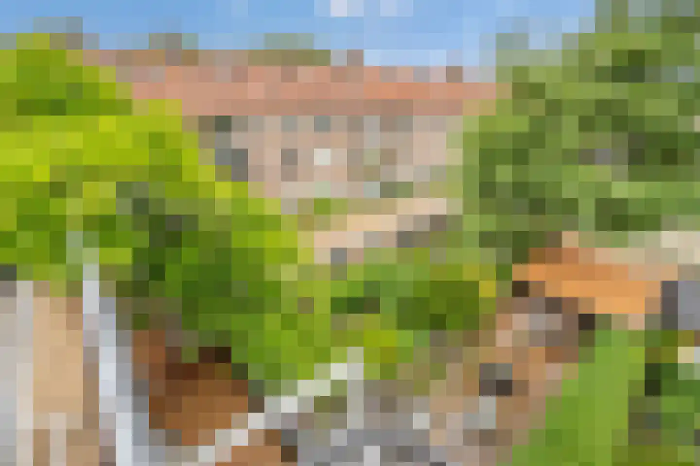 Kastanjelaan 76 Rijswijk thumbnail 31