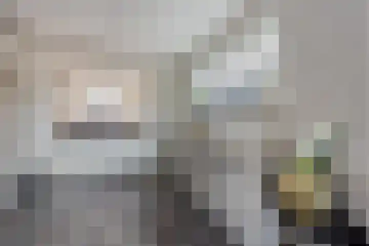 Kastanjelaan 78 Oosterhout thumbnail 14