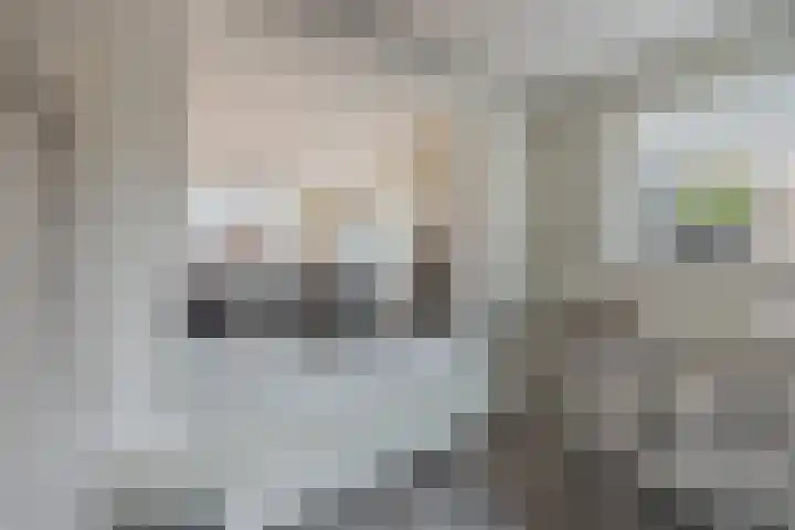 Kastanjelaan 78 Oosterhout thumbnail 16