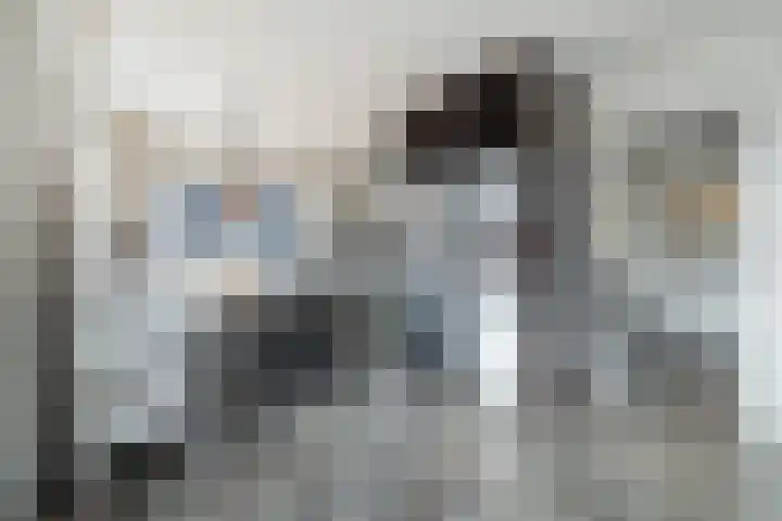 Kastanjelaan 78 Oosterhout thumbnail 20