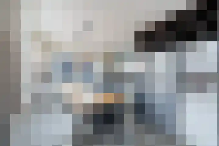 Kastanjelaan 78 Oosterhout thumbnail 21