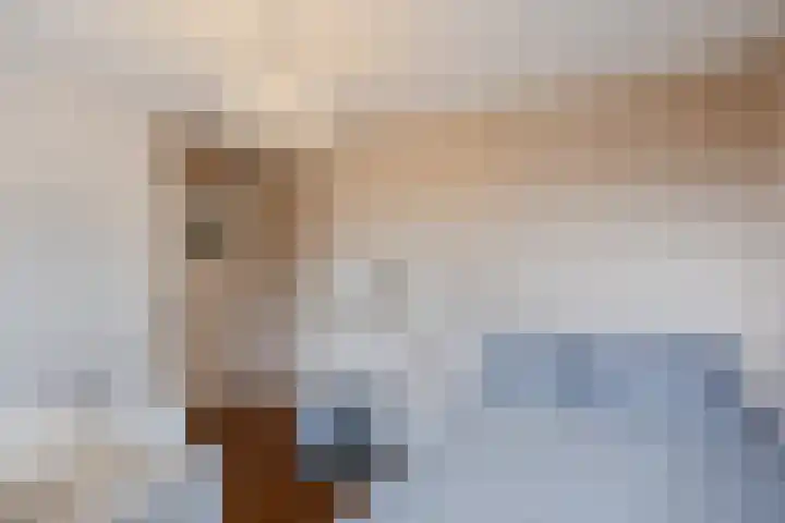 Kastanjelaan 78 Oosterhout thumbnail 32