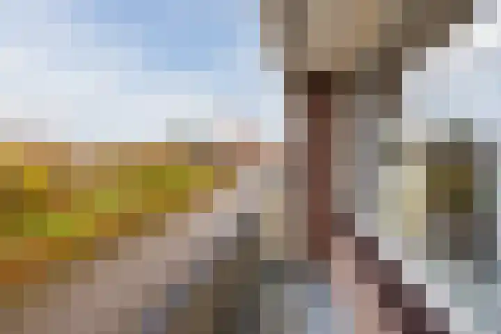 Kastanjelaan 78 Oosterhout thumbnail 33