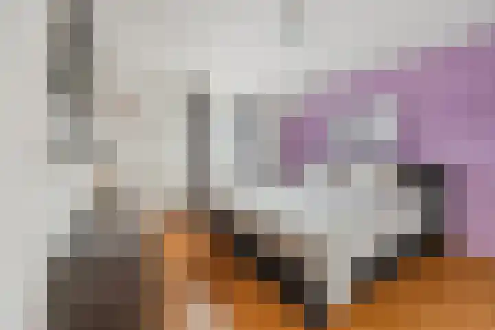 Kastanjelaan 78 Oosterhout thumbnail 34