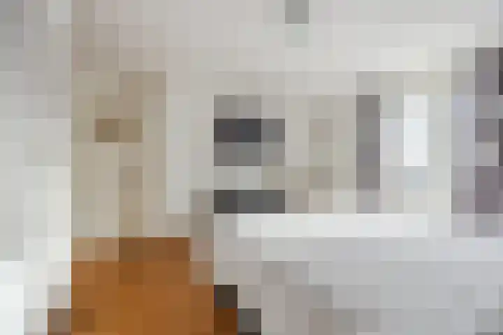 Kastanjelaan 78 Oosterhout thumbnail 35