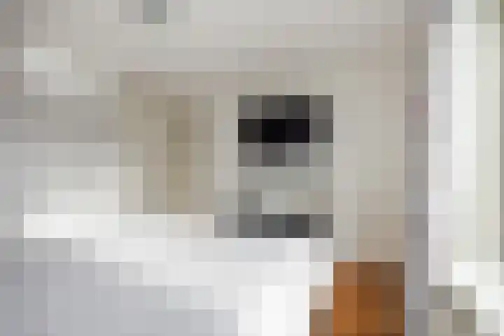 Kastanjelaan 78 Oosterhout thumbnail 37